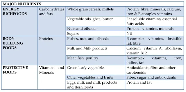 Daily nutrition guidelines for adult men and women