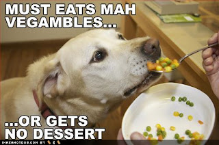Canine Humor - Eating Habits