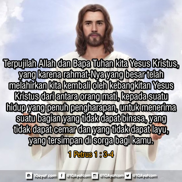 1%2BPetrus%2B1 %2B3 4