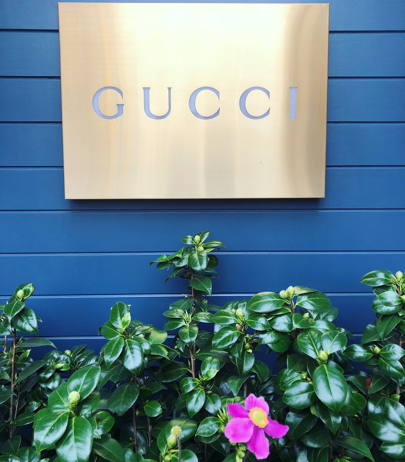 Luxury Haul: HAWAII 2022 (Gucci, LV, Dior, Hawaii pricing) 
