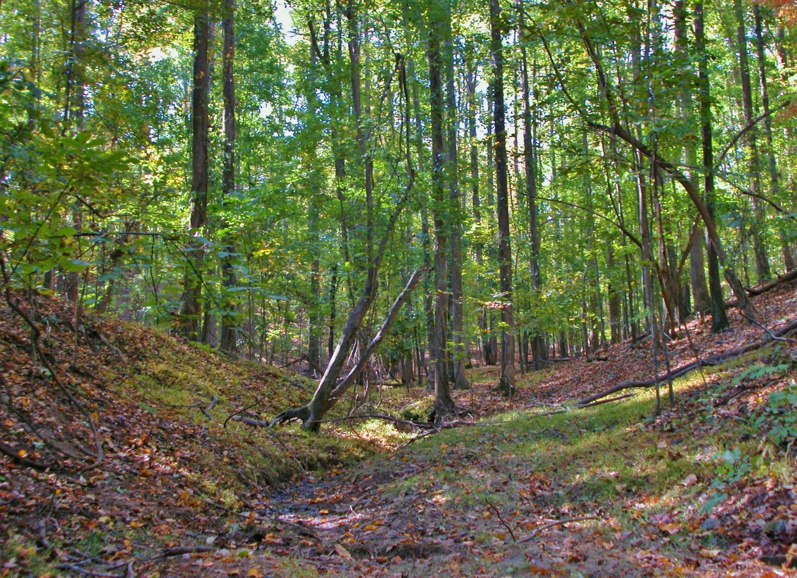 Lake Sidney Lanier Homes Blog Unique Waterfront, Large Acreage Tract With Dock For Sale On Lake