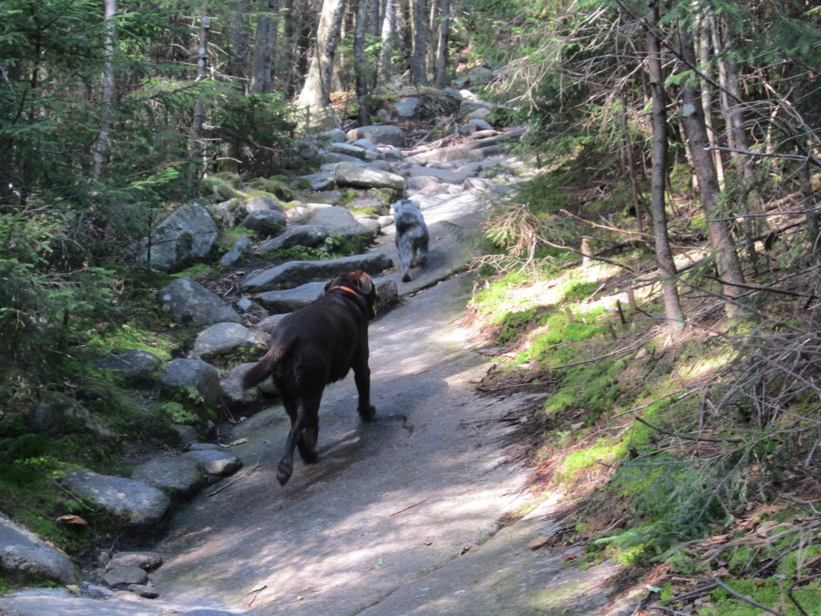 Green Mountain Lines A Perfect Fall Hike Spruce Mountain