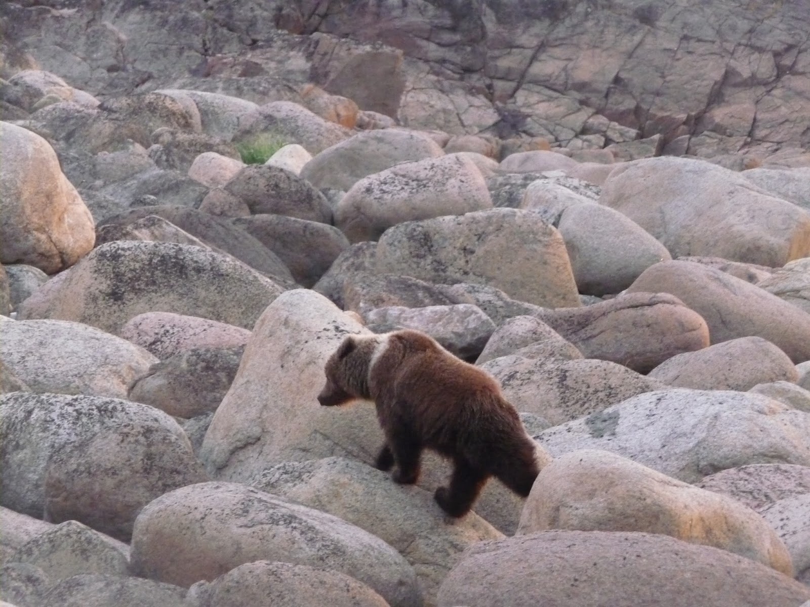 Заполярье 2016. "Край Земли". Алкомототур.