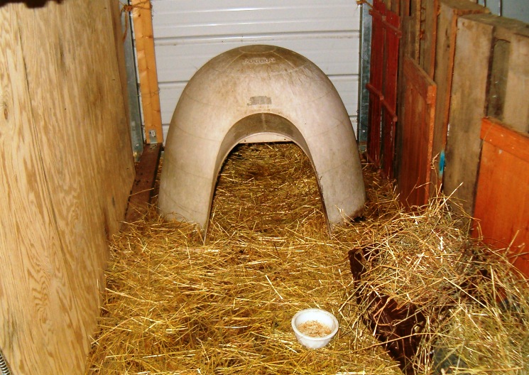 eieiomg! January 2012