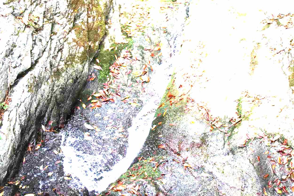 공주 계룡산 갑사 공주 계룡산 갑사