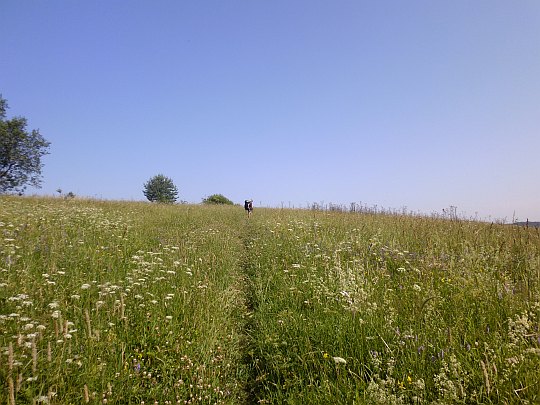 Na stokach wzniesienia Hruń (677 m n.p.m.).