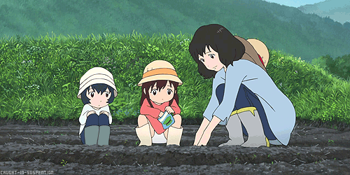 DimDarlingFurseal-small.gif