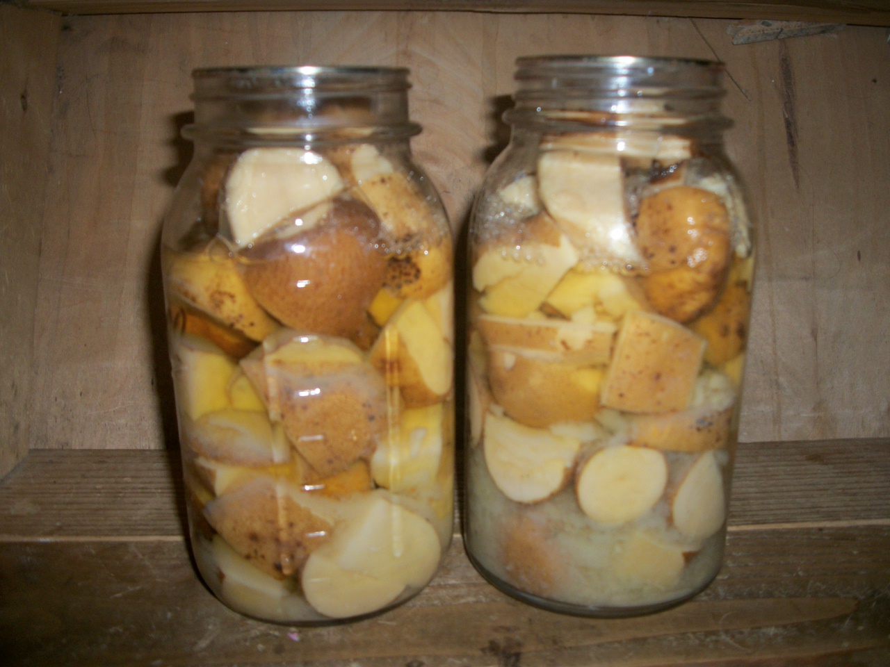 Poverty Prepping Canning Potatoes