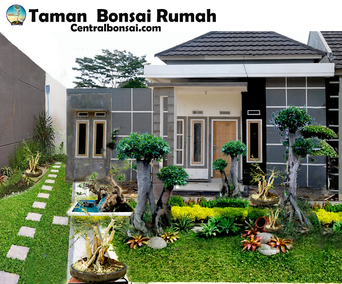PEMELIHARAAN DAN PERAWATAN TANAMAN BONSAI DI RUMAH 