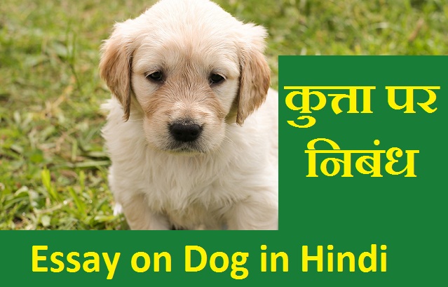 hindi essay on dog for class 1