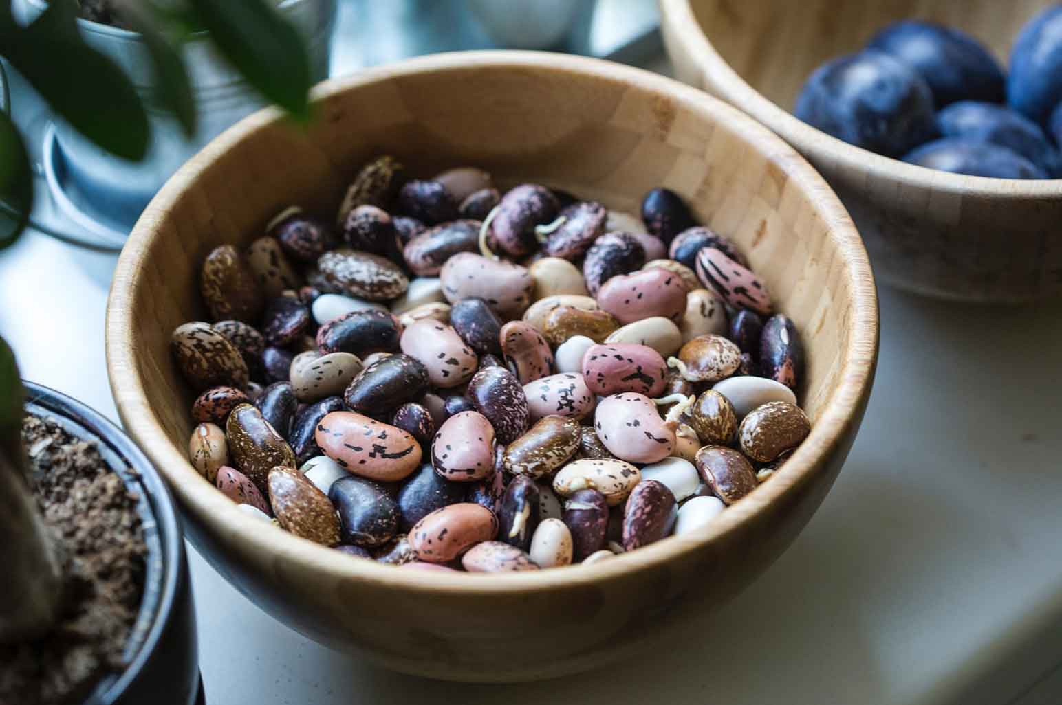 Vegan Cooking Tips and Tricks From the Experts