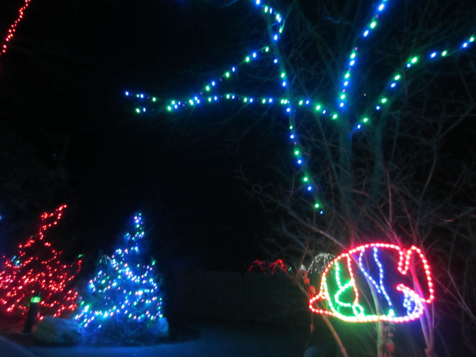 Violet&#39;s Silver Lining: Things To Do In Ohio: Wildlights at Columbus Zoo