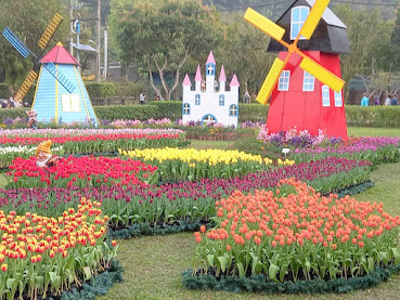 中壢社大週四趴趴走.2021首站士林官邸-鬱金香展(荷你相遇)