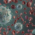 Variante britânica do coronavírus aumenta risco de morte em 61%, indica estudo