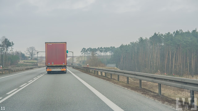 Wycinka drzew pomiędzy Szubinem a Bydgoszczą