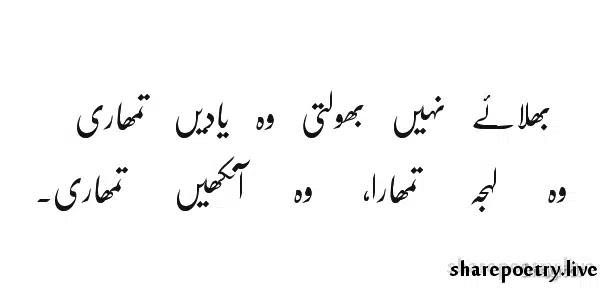 Yaad Poetry In Urdu - Yaad 2 Line Urdu Sad Poetry
