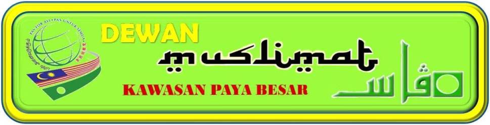 DMP Paya Besar