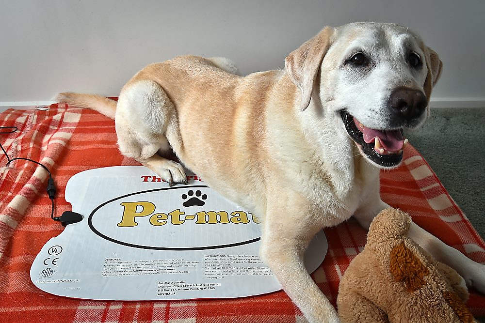 Win 1 of 3 PetMat Heated Pads for Dogs Australian Dog Lover
