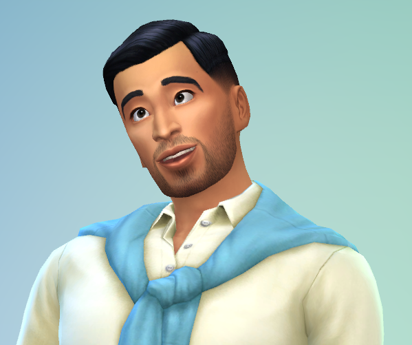 Nikkei_Simmer_Sims4.png