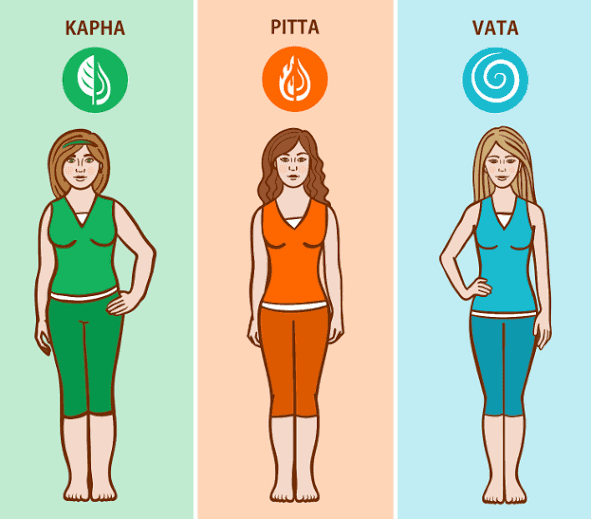 The different Body types Ayurvedic bodytypes