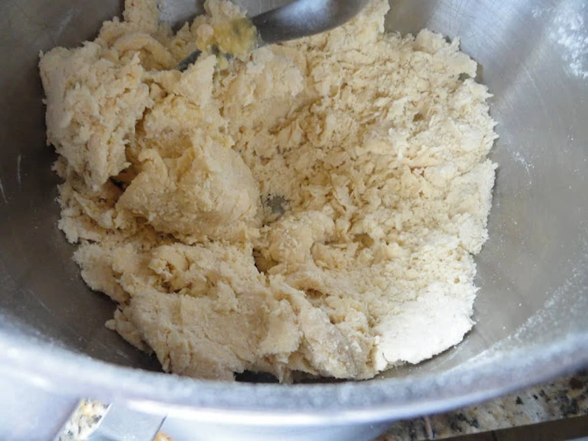Crumbly Egg Noodle Dough in a mixing bowl.