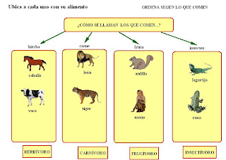 LOS ANIMALES EN SEGUNDO A