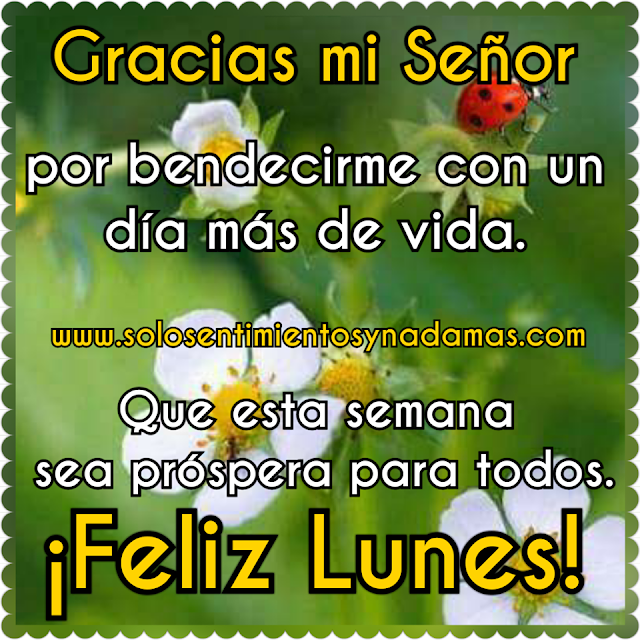 Feliz lunes.