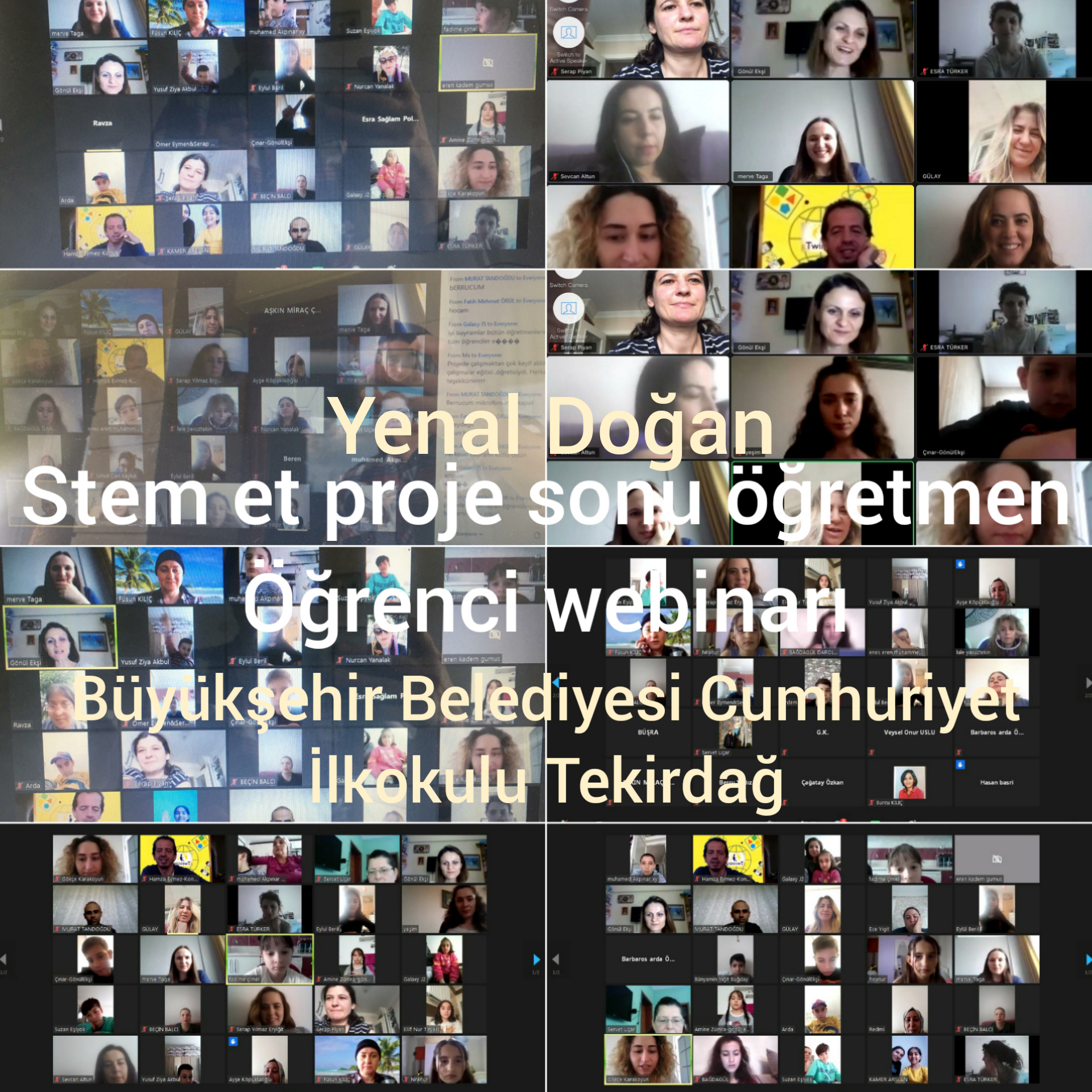 Stem eT Yenal DOĞAN