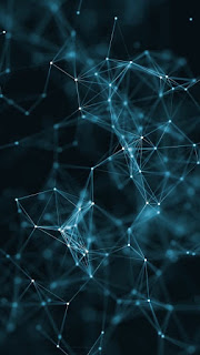 Pines: The Best Wallpapers for Smartphone 4K 3