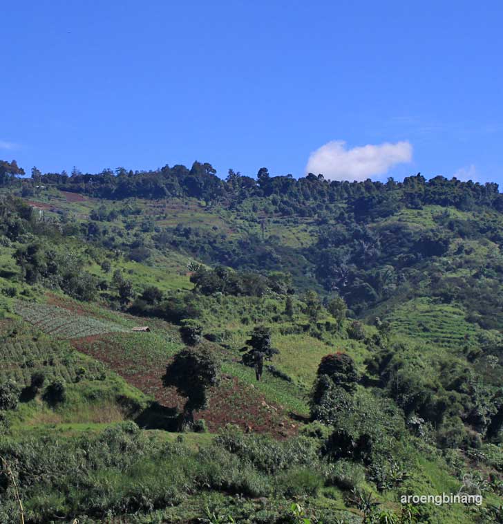 dago pakar bandung