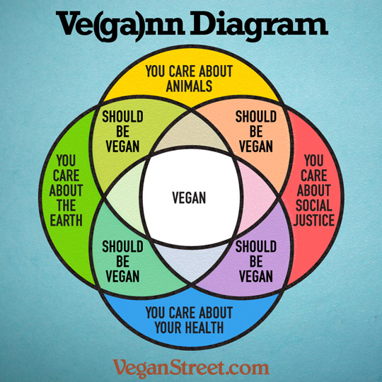 Bhakti Yoginis Blog Das Vegane Venn Diagramm