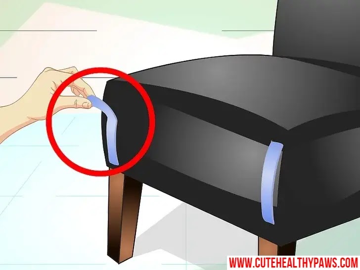 how do i stop my cat from peeing everywhere Cute Healthy Paws