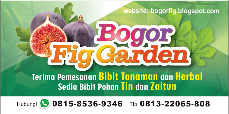 BOGOR FIG GARDEN