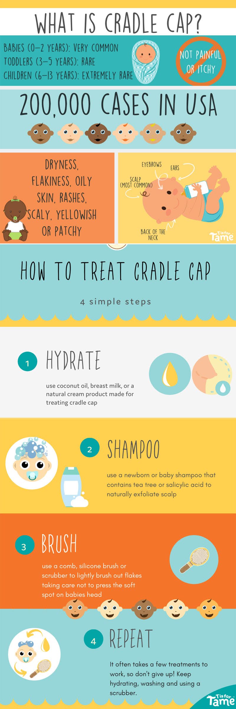What is Cradle Cap? infographic Visualistan