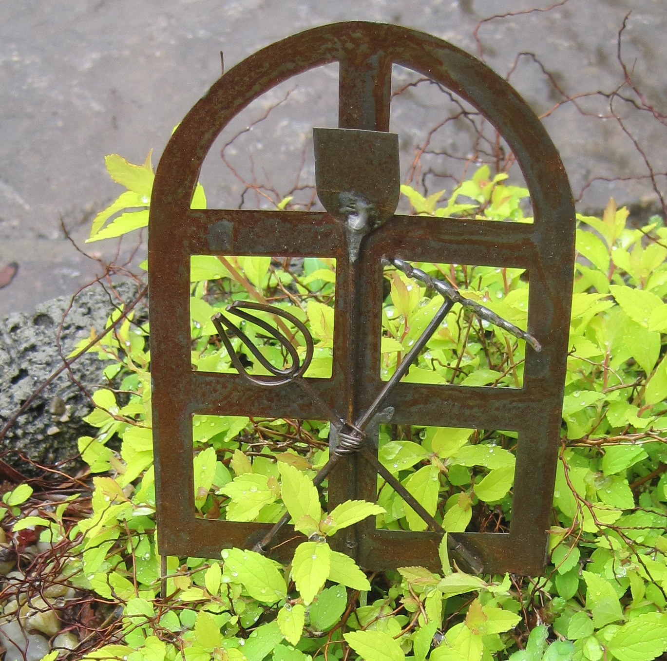 Korean Spice Viburnum Stock Photos Korean Spice Viburnum Stock