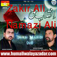 http://ishqehaider.blogspot.com/2013/10/zakir-ali-irani-and-namazi-ali-irani.html