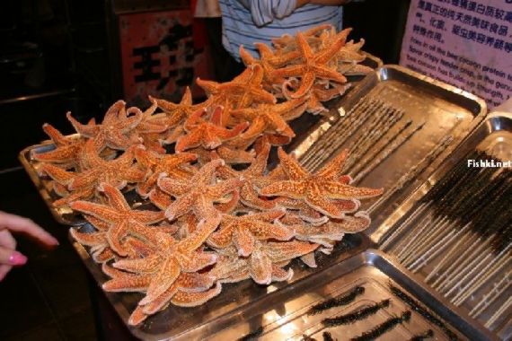 Weirdest chinese food festival ~ unbelievable stories from everywhere Weirdest Chinese Food Festival ~ Unbelievable Stories From Everywhere