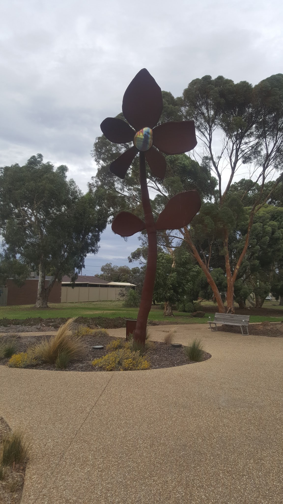 Altona Meadows BIG Flower