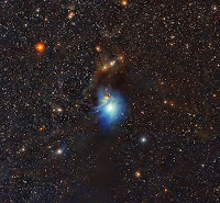 Reflection Nebula IC 2631