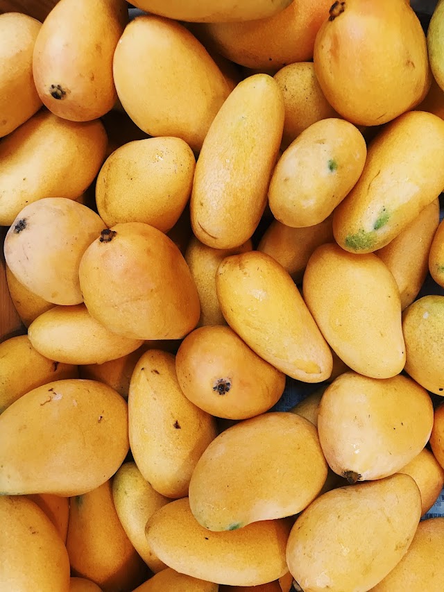  How surprisingly Mango can be beneficial for your mental health