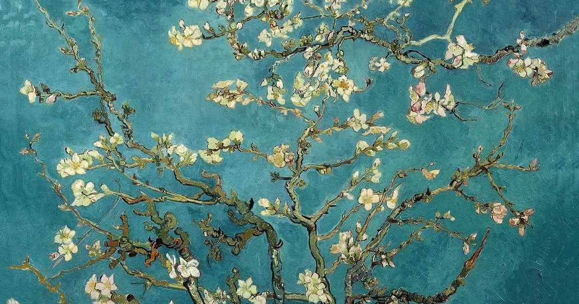 Model S Own Cherry Blossoms By Vincent Van Gogh 1890s