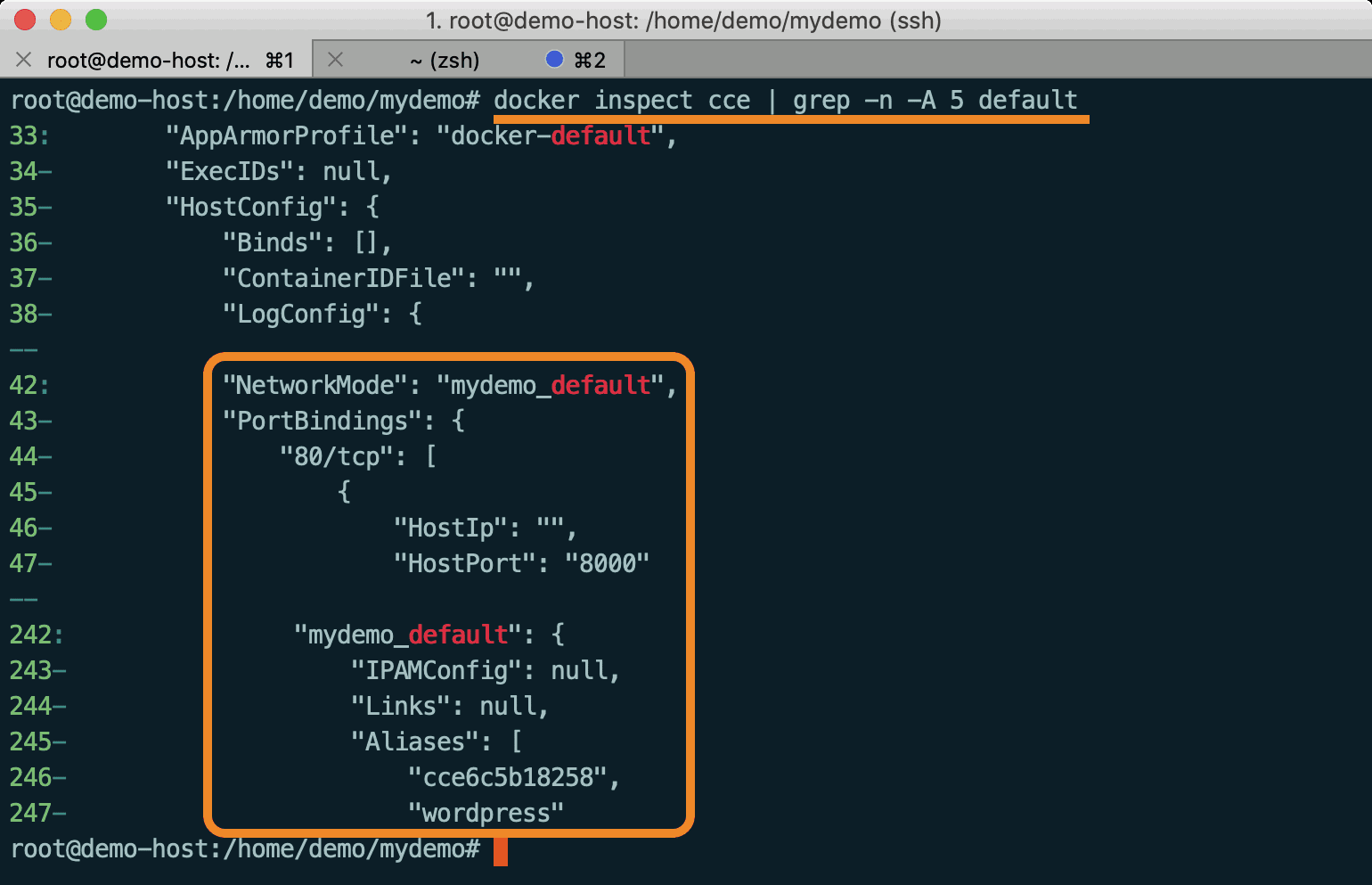 查看Wordpress服務的網路資訊