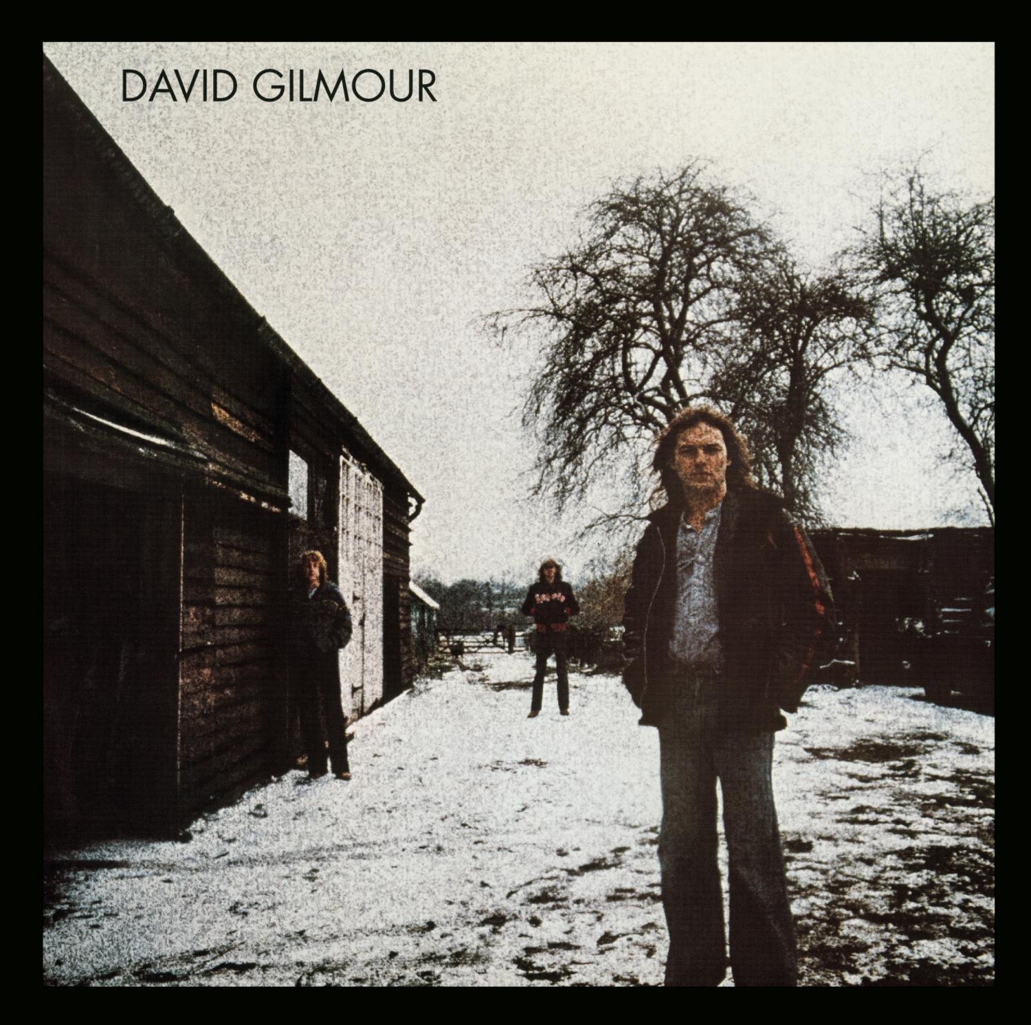 Classic Rock Covers Database (full album torrents) David Gilmour