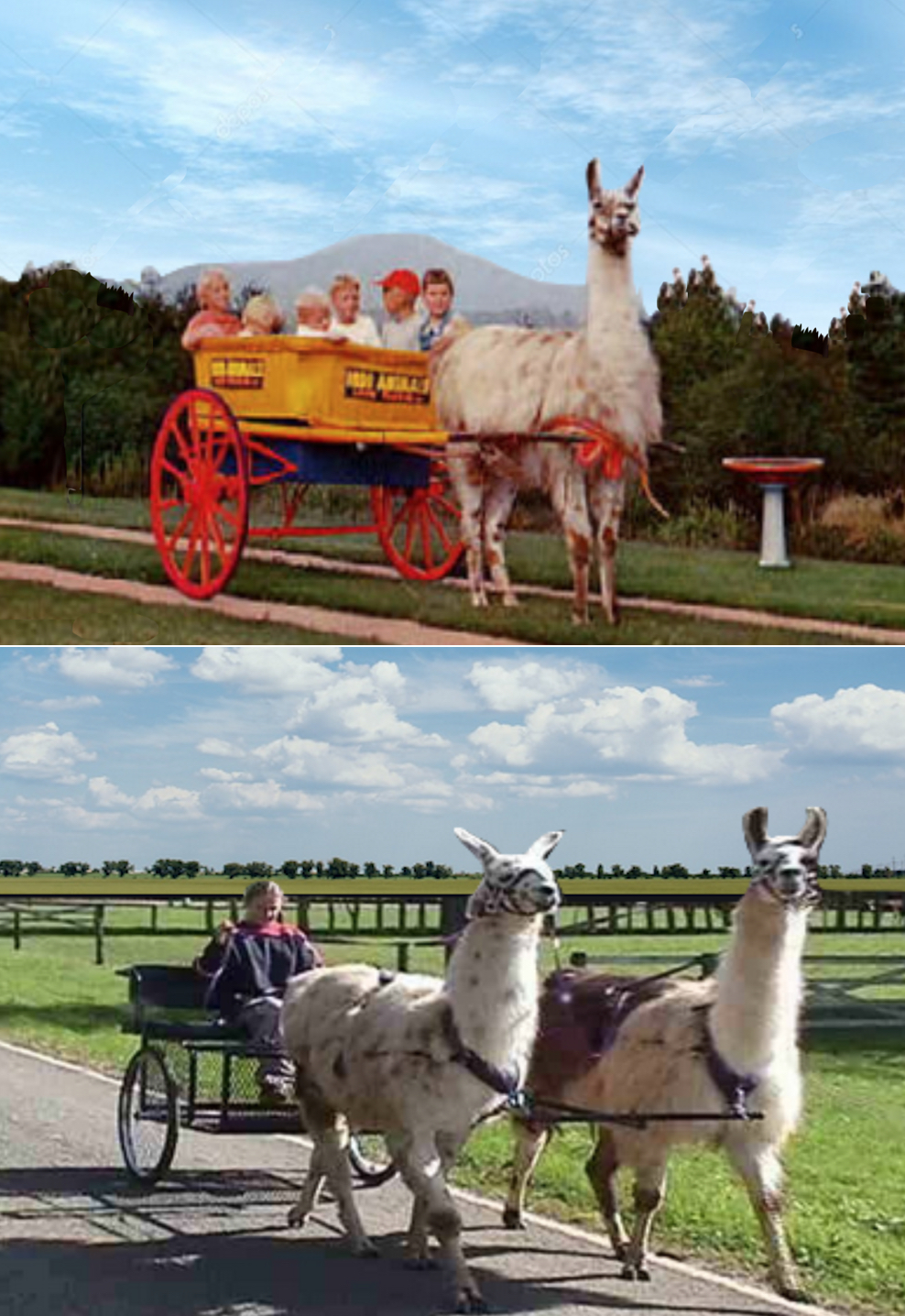 NephiCode Answers to Reader Comments Part II