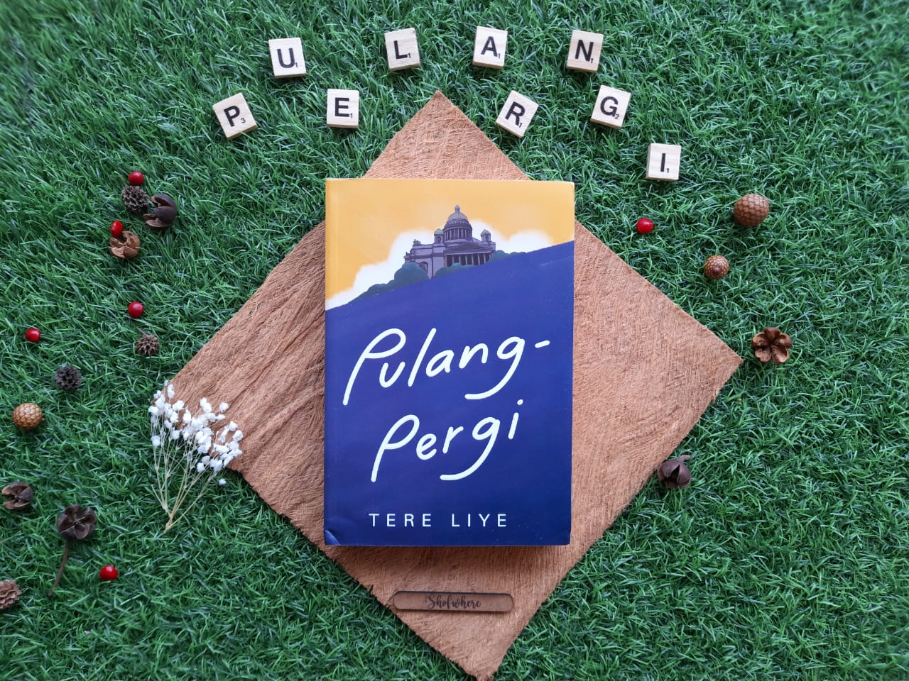 Review Buku PulangPergi Tere Liye