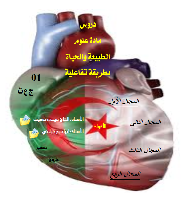 التعرف على بنية الكتاب تساعد على