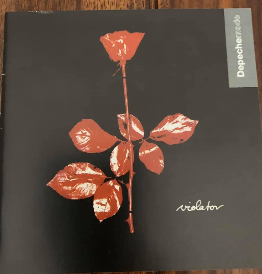 Depeche Mode - Luggage cover - Violator (S)