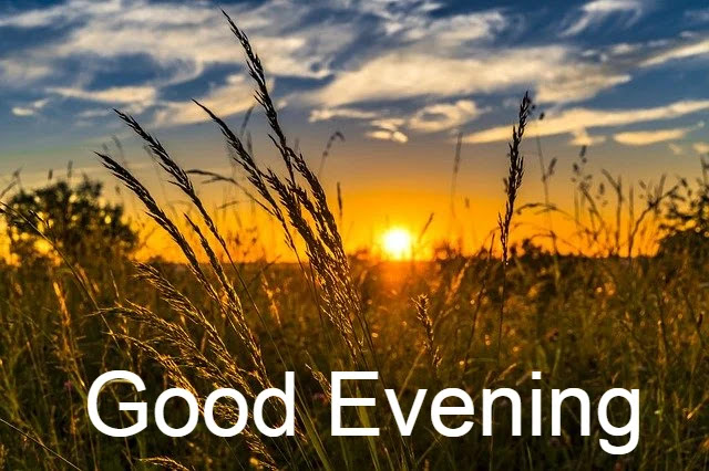 Good Evening Images Good Evening Images
