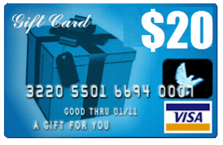 $20 visa e gift card