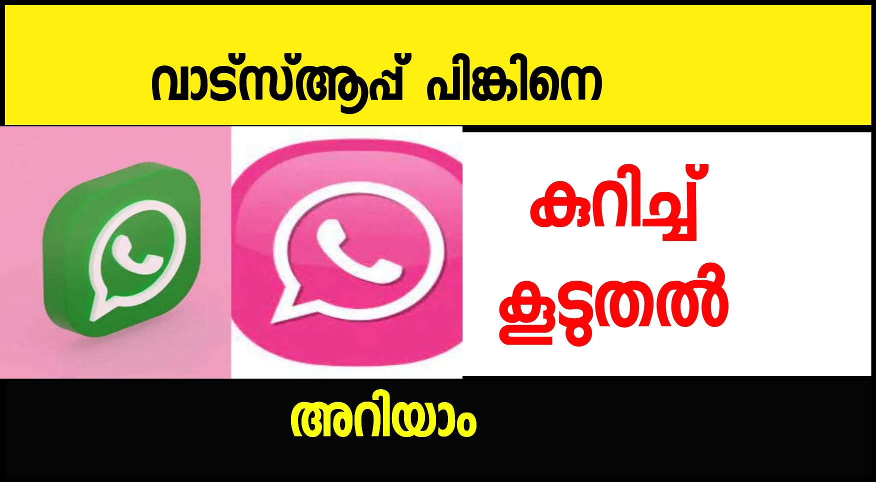 what is whatsapp pink